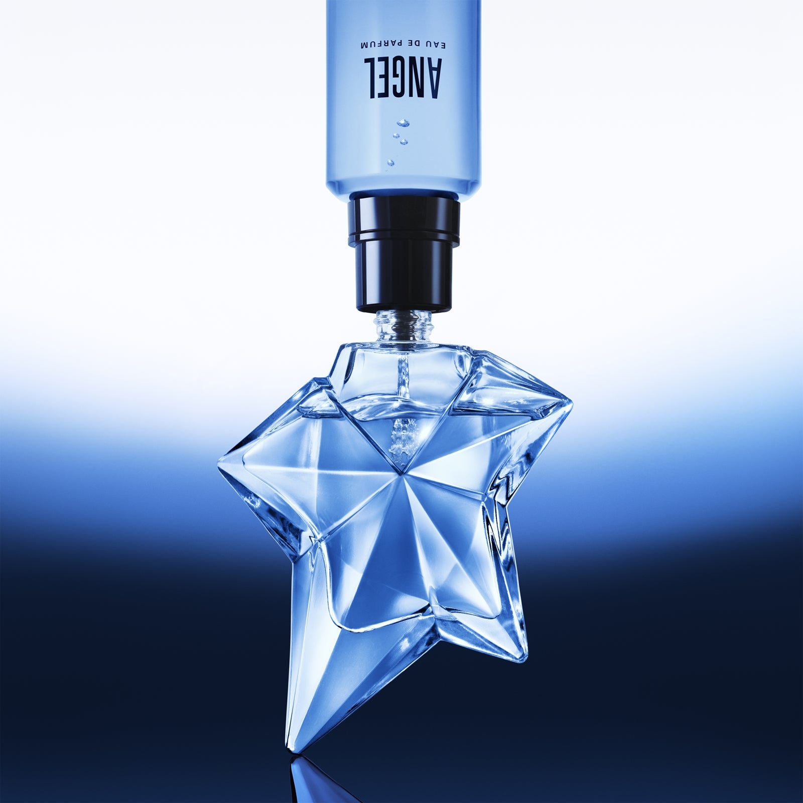Angel EDP