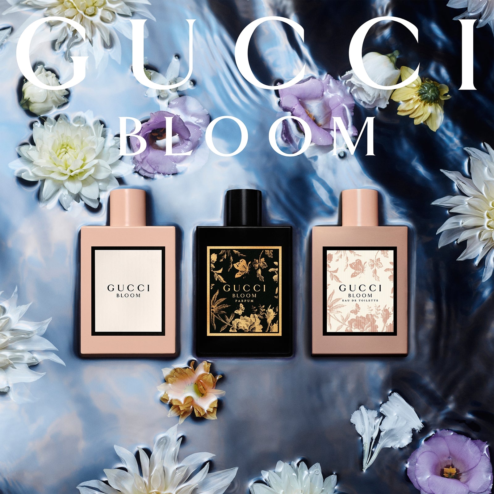 Bloom