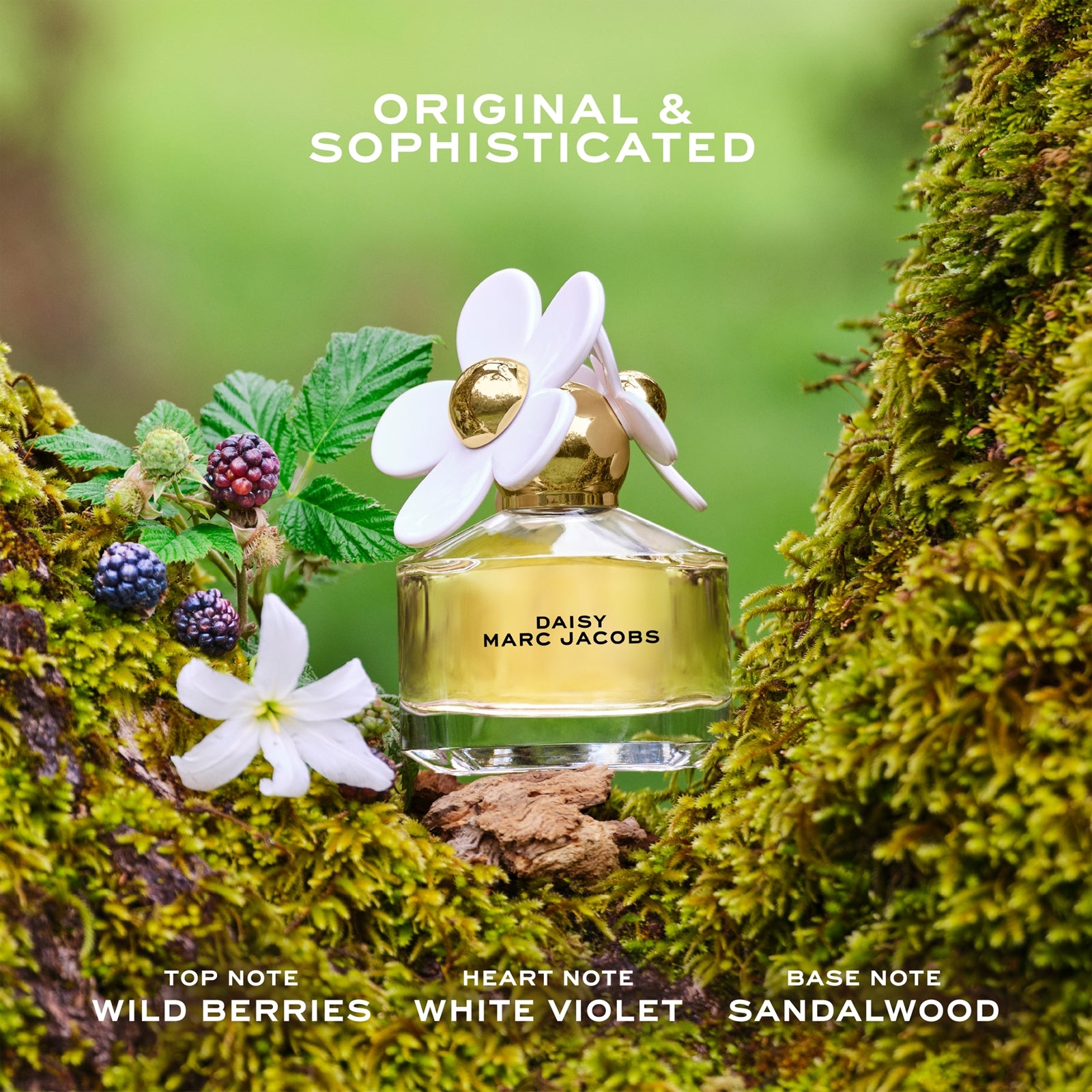 Daisy EDT
