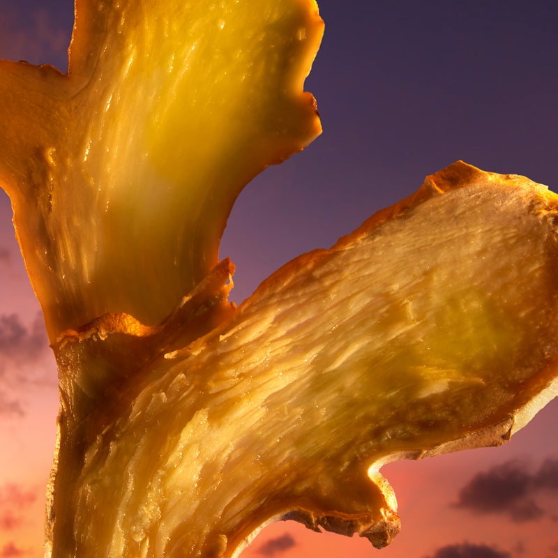 The Most Wanted Parfum