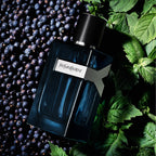 Y EDP Intense
