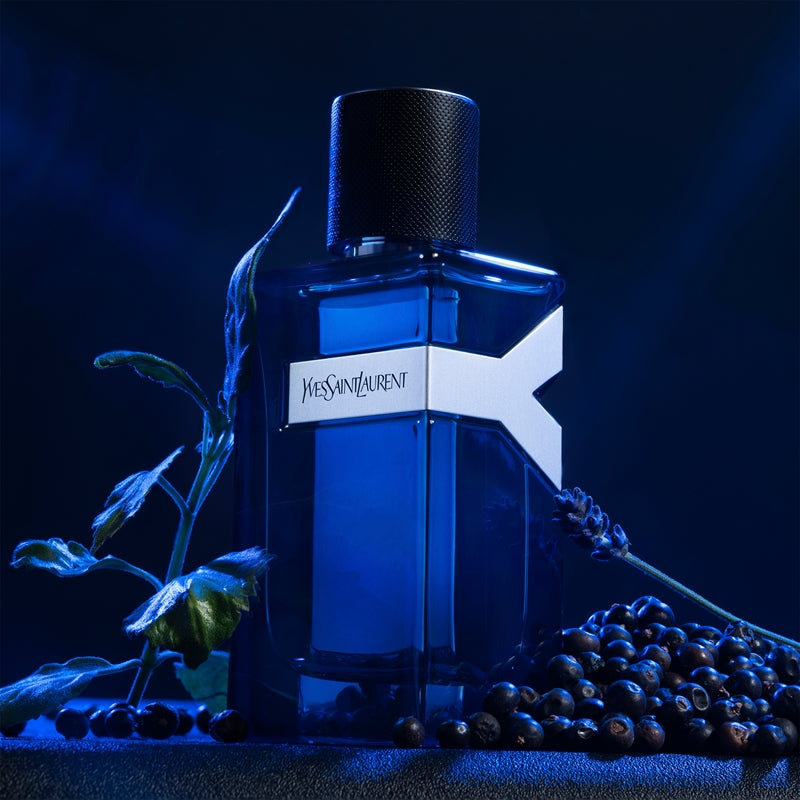 Y EDP Intense